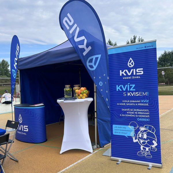 529897527 1565012711213088 2394699147156158772 N